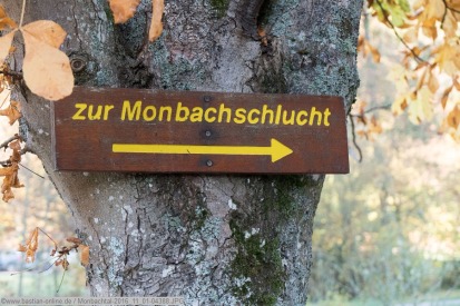 monbachtal-2016_11_01-04388